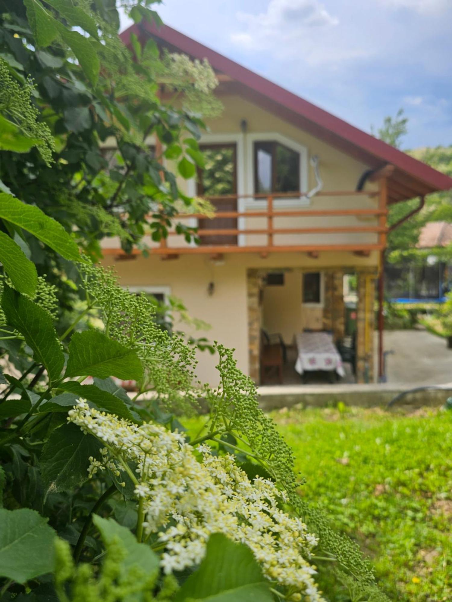 Casa Hera Calimanesti Exterior photo