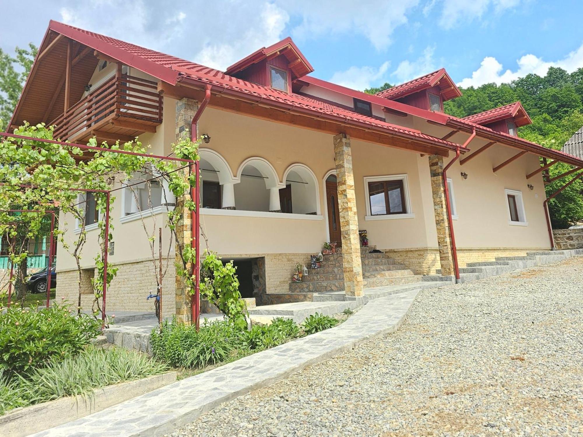 Casa Hera Calimanesti Exterior photo